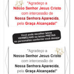 NOSSA SENHORA APARECIDA 100x500