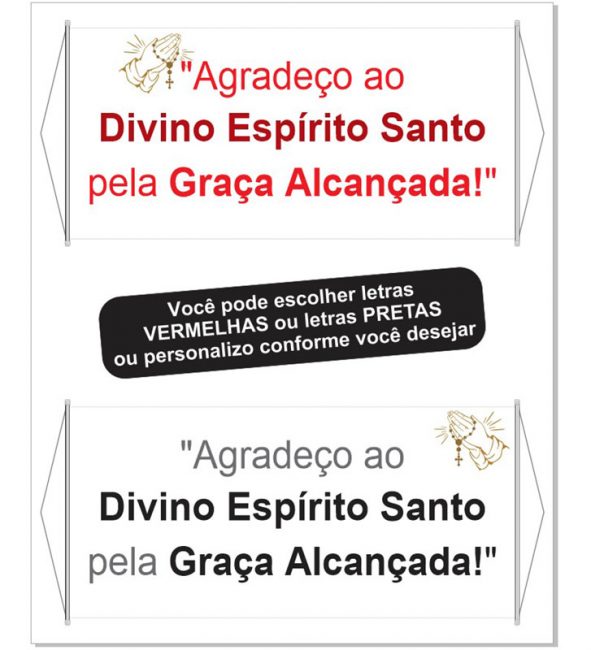 DIVINO ESPIRITO SANTO 100x500