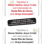 SANTA RITA DE CÁSSIA 100x50